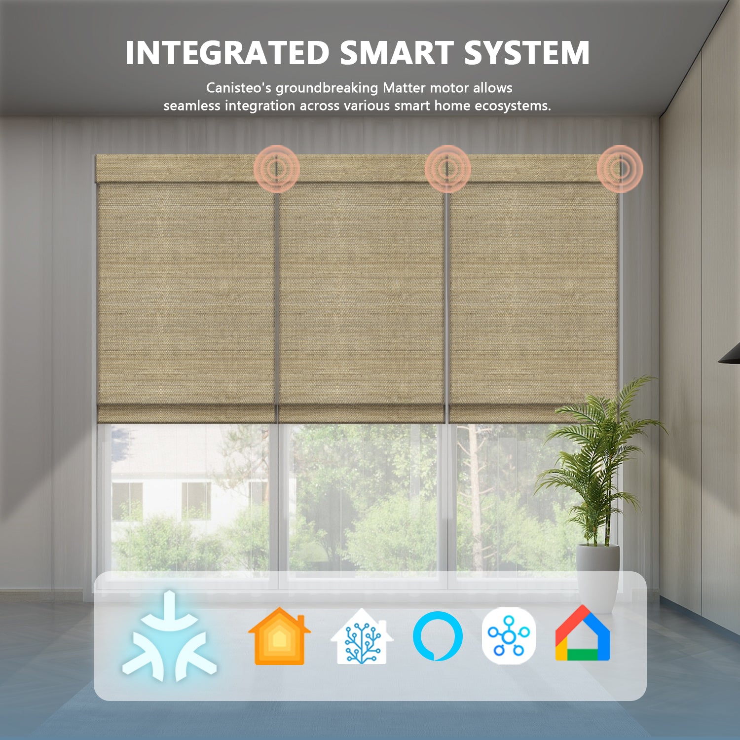 Canisteo Motorized Woven Woods | 50%/70%/100% Blackout | Oasis