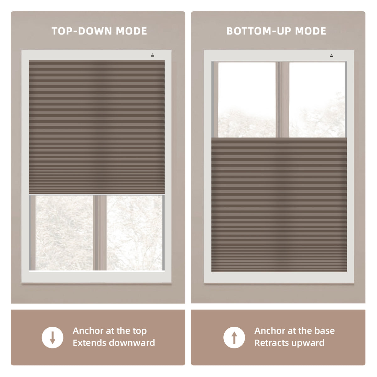 Two window top down bottom up cellular shades showing top-down and bottom-up modes with text and icons.
