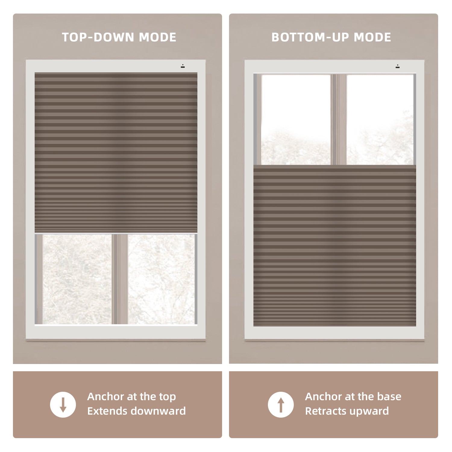 Two window top down bottom up cellular shades showing top-down and bottom-up modes with text and icons.