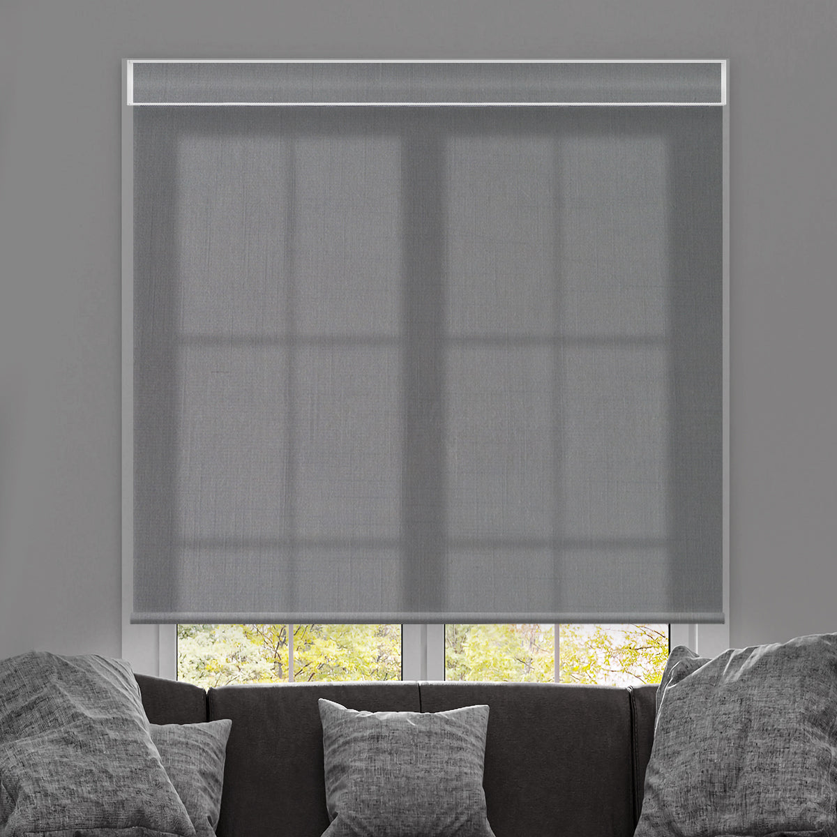 Canisteo Motorized Roller Shades | Translucent | Dusk